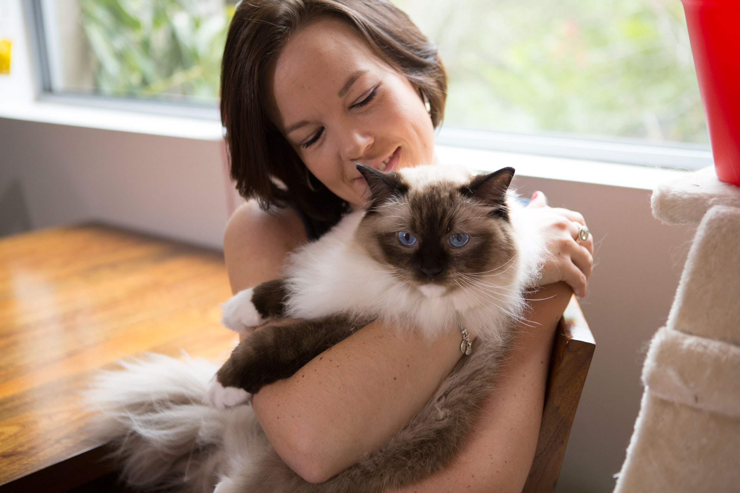 Ten signs your cat loves you back